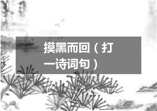 摸黑而回（打一诗词句）