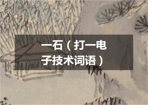 一石（打一电子技术词语）