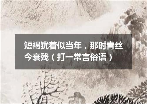 短褐犹着似当年，那时青丝今衰残（打一常言俗语）
