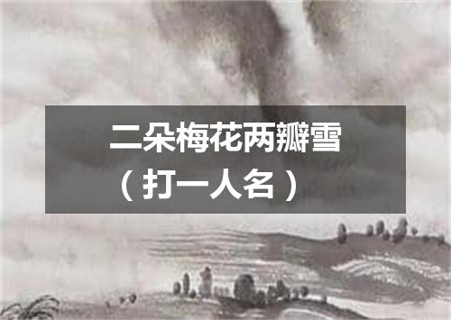 二朵梅花两瓣雪（打一人名）