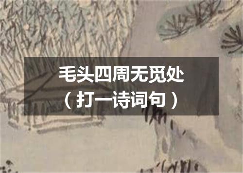 毛头四周无觅处（打一诗词句）