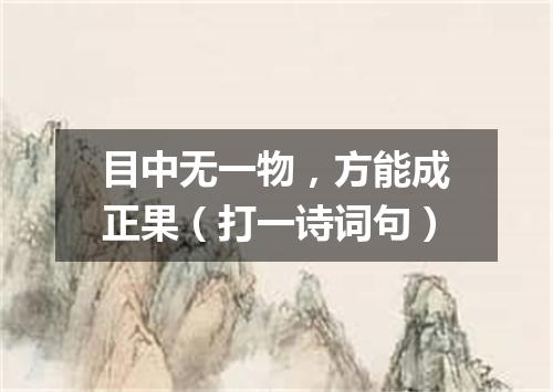 目中无一物，方能成正果（打一诗词句）