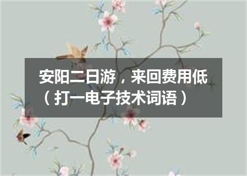 安阳二日游，来回费用低（打一电子技术词语）