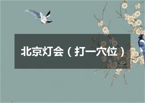 北京灯会（打一穴位）