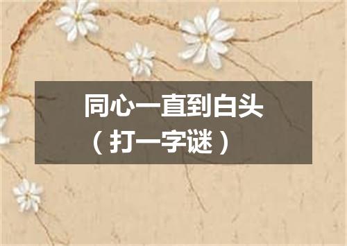同心一直到白头（打一字谜）