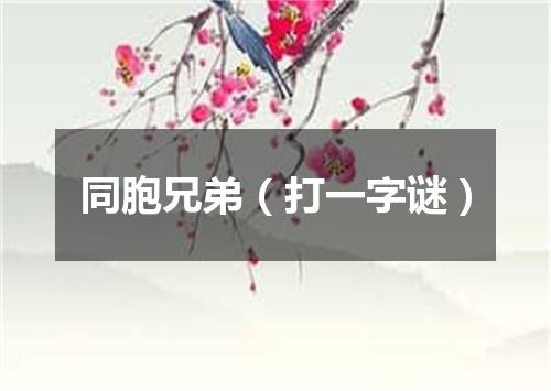 同胞兄弟（打一字谜）