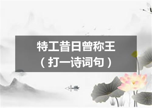 特工昔日曾称王（打一诗词句）