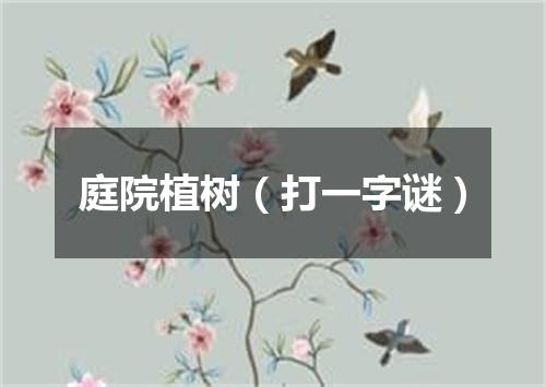 庭院植树（打一字谜）