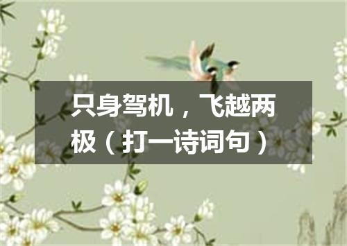 只身驾机，飞越两极（打一诗词句）