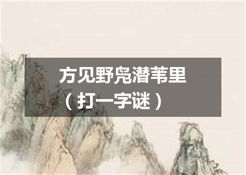 方见野凫潜苇里（打一字谜）