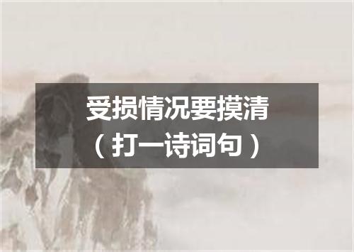 受损情况要摸清（打一诗词句）
