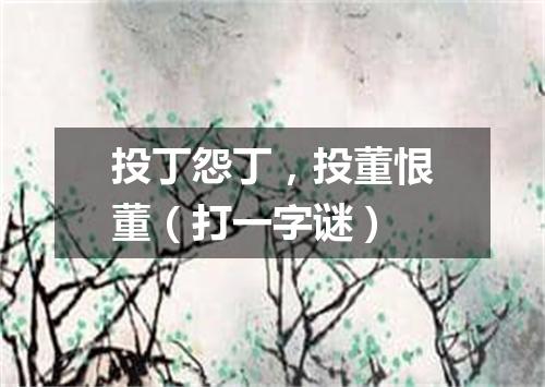 投丁怨丁，投董恨董（打一字谜）