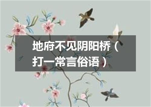 地府不见阴阳桥（打一常言俗语）