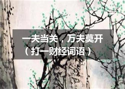 一夫当关，万夫莫开（打一财经词语）