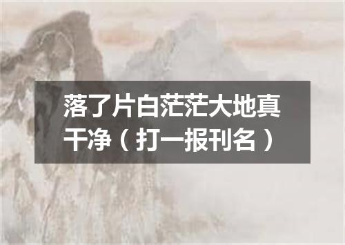 落了片白茫茫大地真干净（打一报刊名）