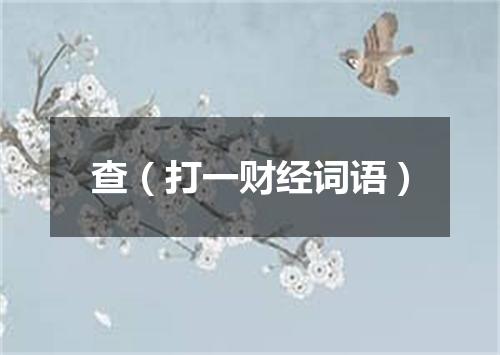 查（打一财经词语）