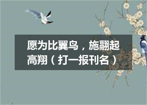 愿为比翼鸟，施翮起高翔（打一报刊名）