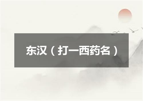 东汉（打一西药名）