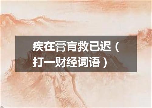 疾在膏肓救已迟（打一财经词语）