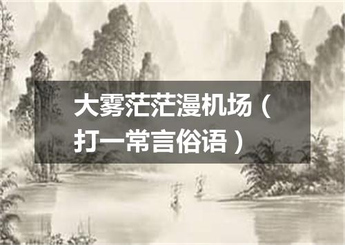 大雾茫茫漫机场（打一常言俗语）