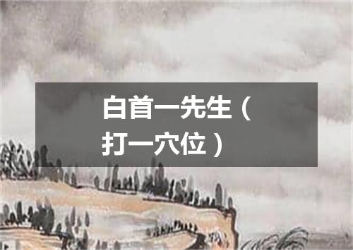 白首一先生（打一穴位）