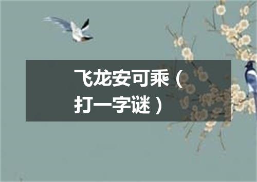飞龙安可乘（打一字谜）