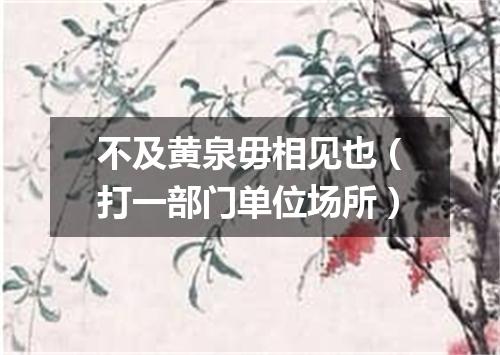 不及黄泉毋相见也（打一部门单位场所）
