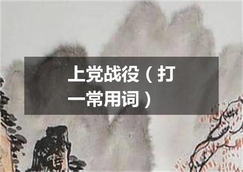 上党战役（打一常用词）