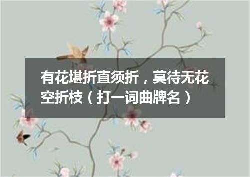 有花堪折直须折，莫待无花空折枝（打一词曲牌名）