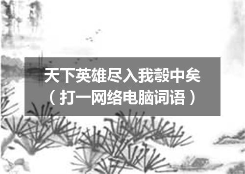 天下英雄尽入我彀中矣（打一网络电脑词语）