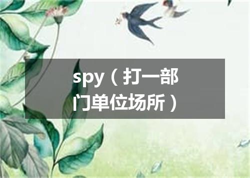 spy（打一部门单位场所）