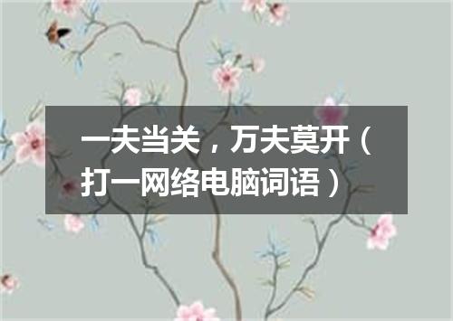 一夫当关，万夫莫开（打一网络电脑词语）