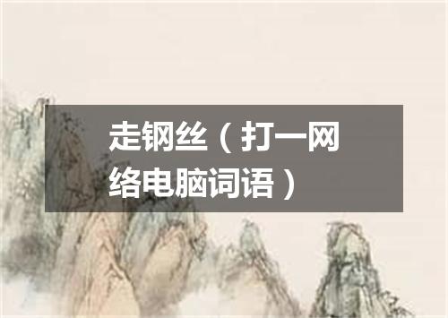 走钢丝（打一网络电脑词语）