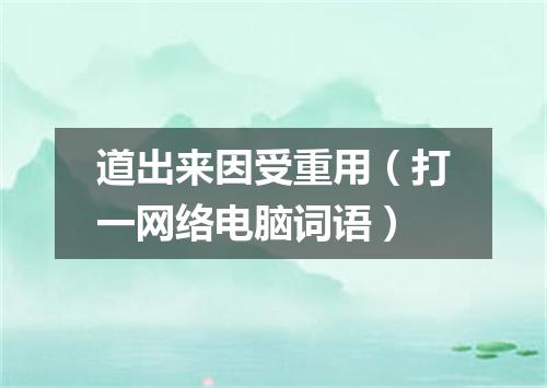 道出来因受重用（打一网络电脑词语）