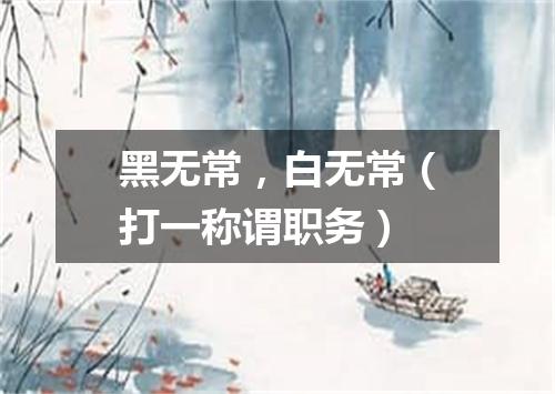 黑无常，白无常（打一称谓职务）