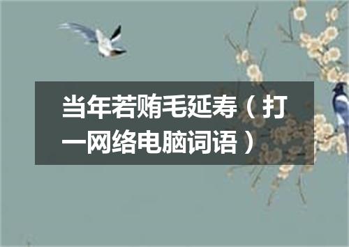 当年若贿毛延寿（打一网络电脑词语）