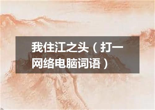 我住江之头（打一网络电脑词语）