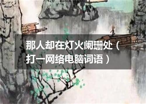 那人却在灯火阑珊处（打一网络电脑词语）