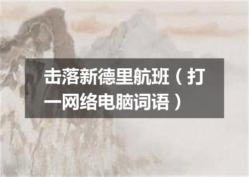 击落新德里航班（打一网络电脑词语）