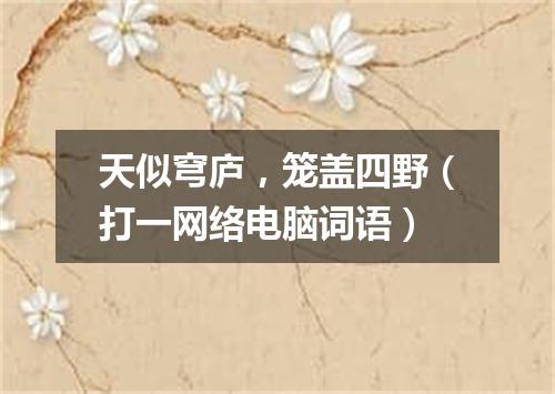 天似穹庐，笼盖四野（打一网络电脑词语）