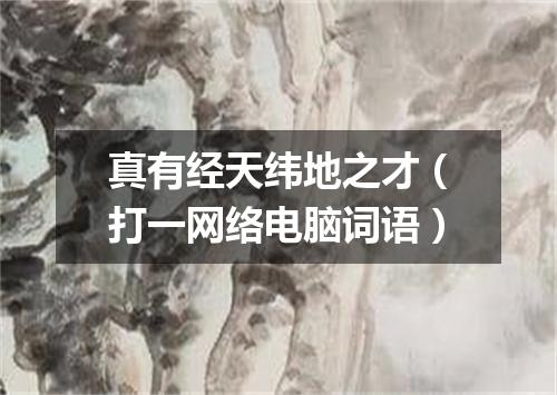 真有经天纬地之才（打一网络电脑词语）