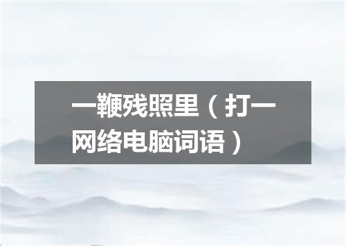 一鞭残照里（打一网络电脑词语）