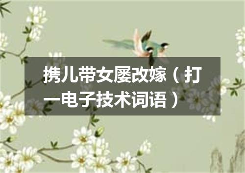 携儿带女屡改嫁（打一电子技术词语）