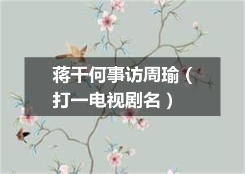 蒋干何事访周瑜（打一电视剧名）