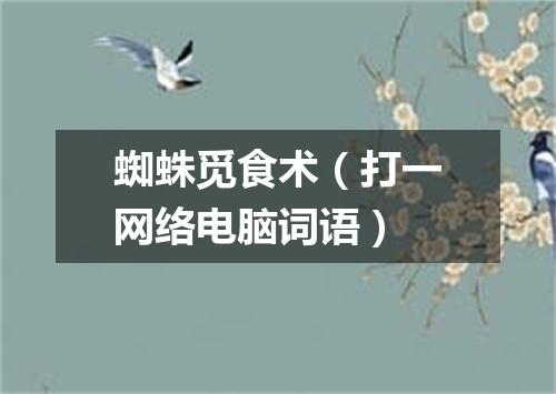 蜘蛛觅食术（打一网络电脑词语）