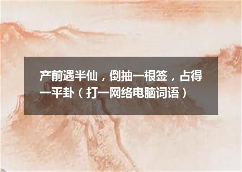 产前遇半仙，倒抽一根签，占得一平卦（打一网络电脑词语）