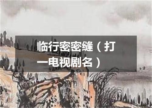 临行密密缝（打一电视剧名）