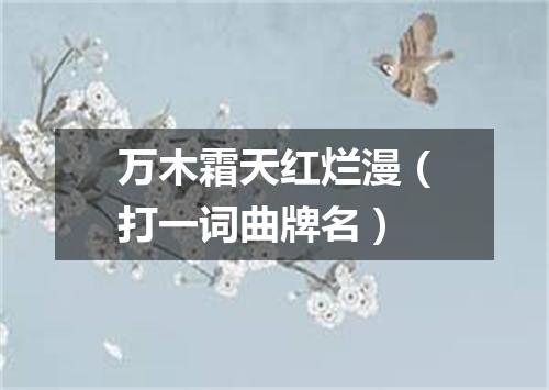 万木霜天红烂漫（打一词曲牌名）