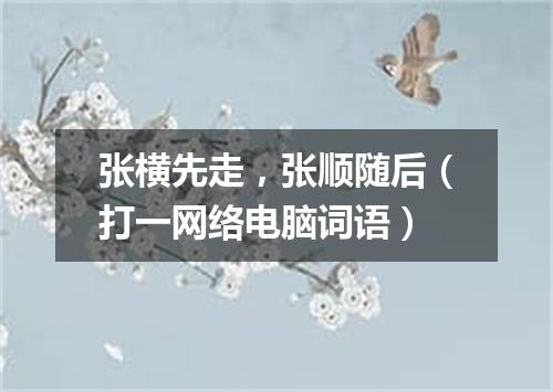 张横先走，张顺随后（打一网络电脑词语）