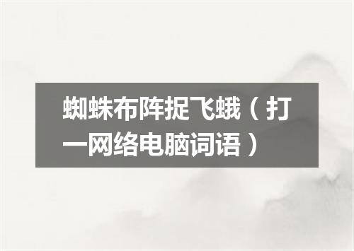 蜘蛛布阵捉飞蛾（打一网络电脑词语）